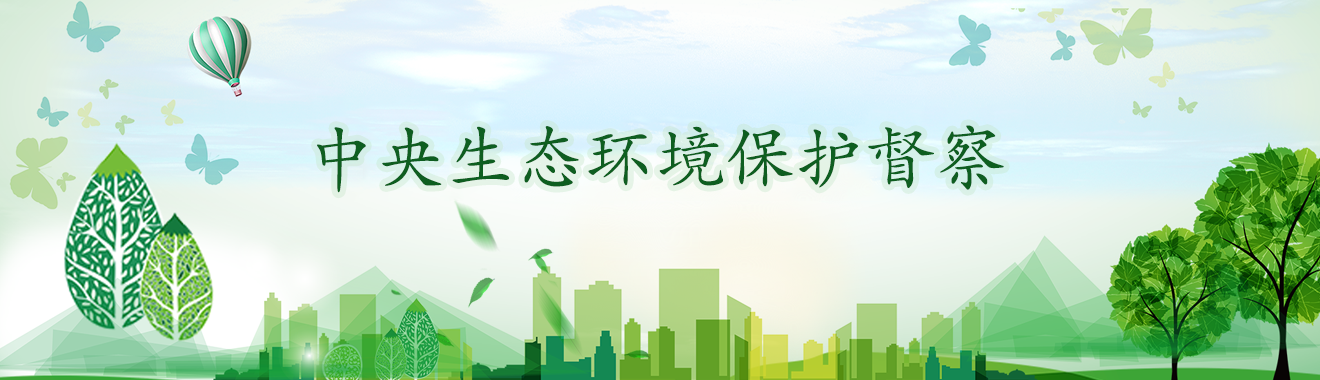 中央生态环境保护督察