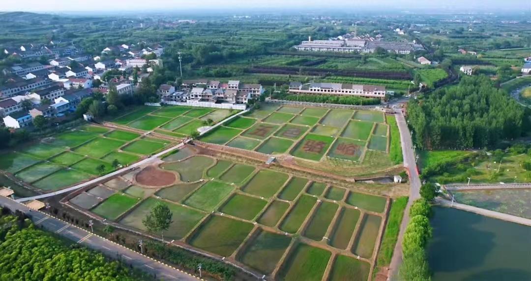 走进周至县乡村振兴示范村建设项目 发展田园经济 扮靓和美乡村