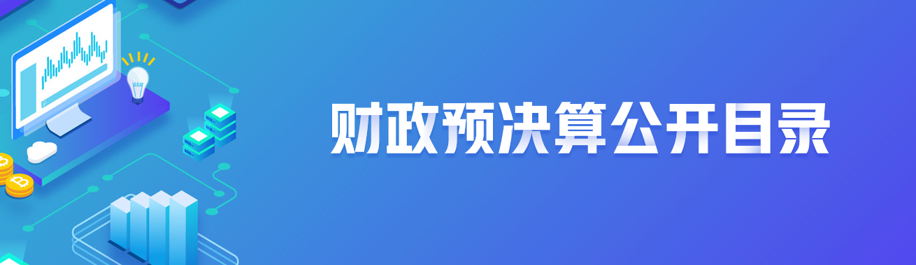 财政预决算公开目录