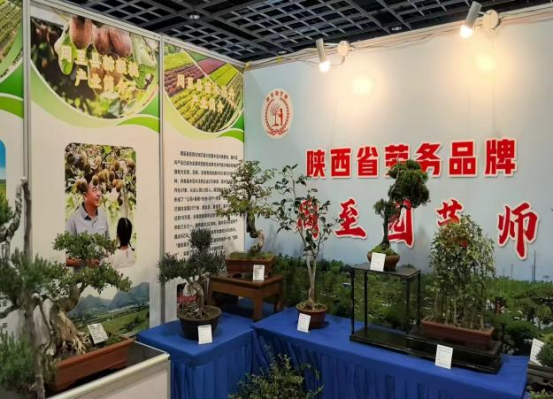 “周至园艺师”劳务品牌亮相金陵！参展第四届江苏对口支援特色商品交易会