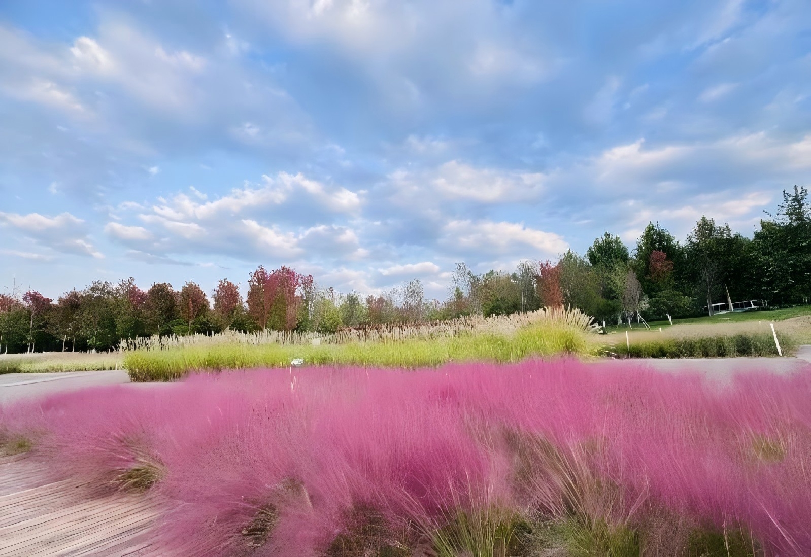 秦岭国家植物园风光