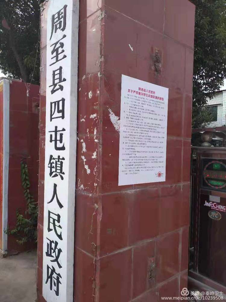 周至县再掀野生动植物资源保护宣传热潮