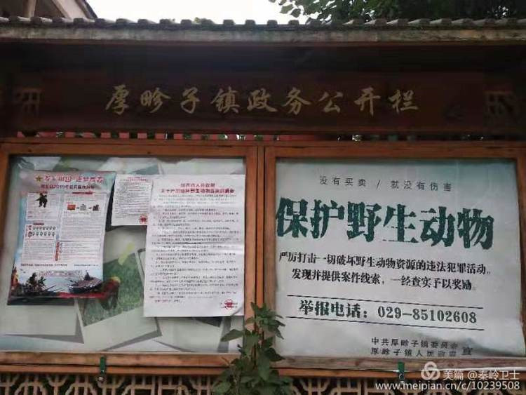 周至县再掀野生动植物资源保护宣传热潮