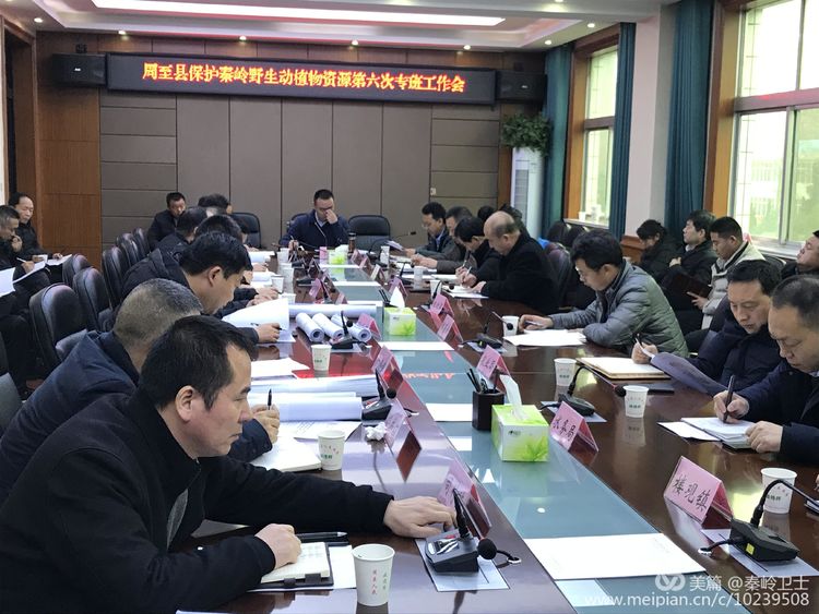 周至县召开打击整治破坏秦岭野生动植物资源违法犯罪专项行动第六次专班工作会